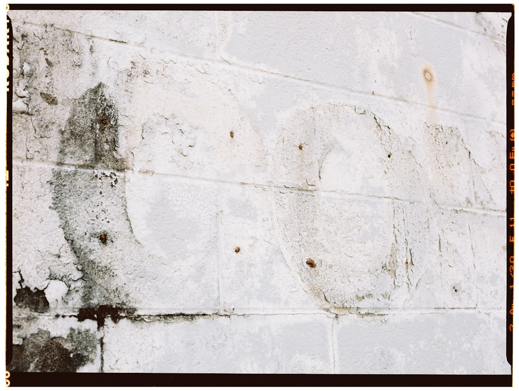 Mold Remediation service in Greenville, NC